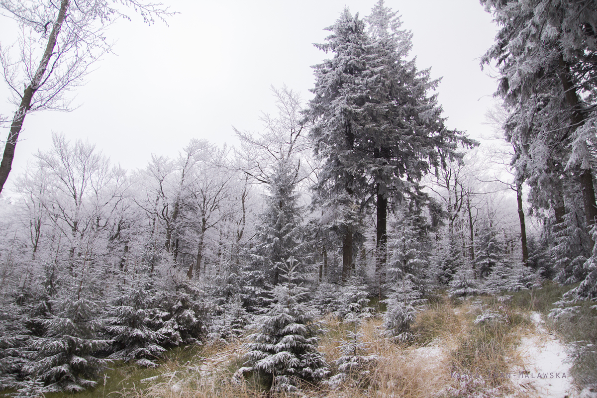 Zimowa, Szyndzielnia, Beskid, lski