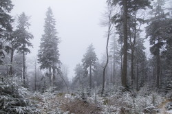 Szyndzielnia, mountain, in, winter, the, Silesian, Beskids